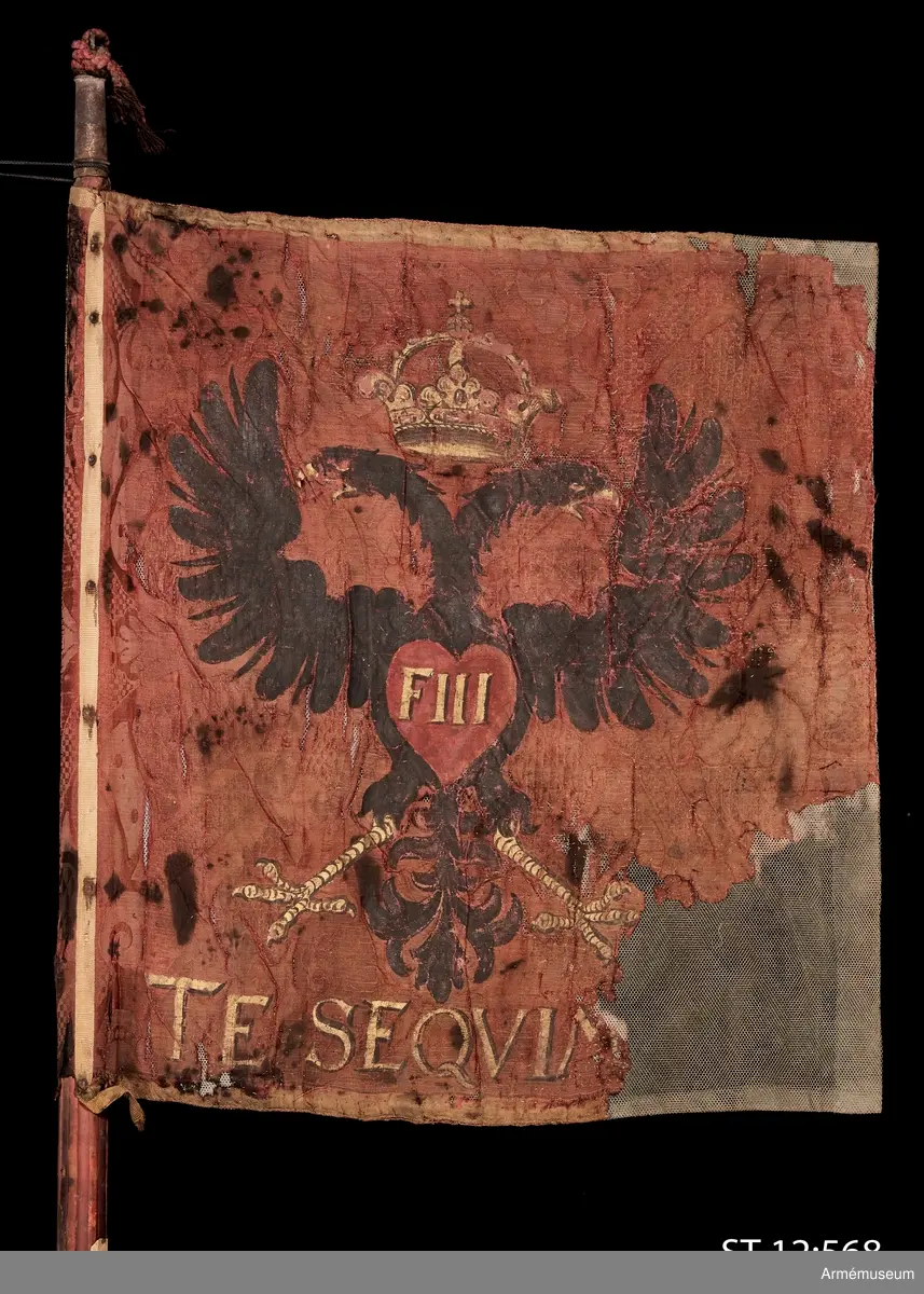 Duk av röd sidendamast. På ena sidan det Habsburgska kejsardömets vapen, en dubbelhövdad örn, med kejsar Ferdinand III:s monogram. Rester av en latinsk inskription: "TE SEQVIMV...". På andra sidan ett vitt hästhuvud. Inskription: "...NVLNERA SPIRO.
Rödmålad standarstång avsågad vid handtaget. Sekundärt förlängd med en platt pinne som surrats fast med metalltråd. Troligen av utställningsskäl. Bevarad holk och liten rest av spetsen runt vilken rester av en röd kordong sitter. Duken har brännskador i första hand på lindningen runt stången. Gammal konservering på finmaskigt nät.