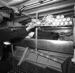 Piteå
Torpedbåten Piteå, interiör av förrådsutrustning
