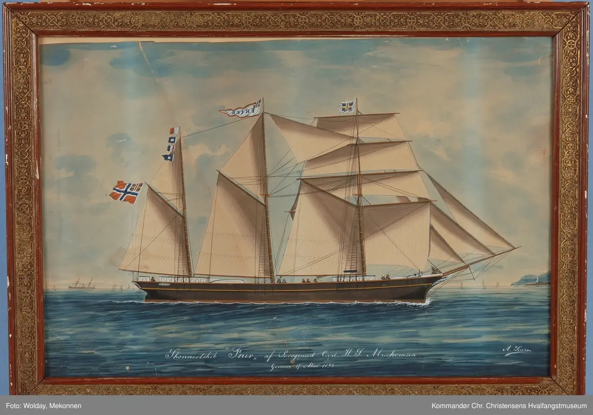 Skonnertskip FRIER av Porsgrund, 17. Mai 1893.