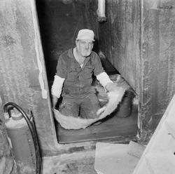 Arbetsbilder Danska Standard Flex