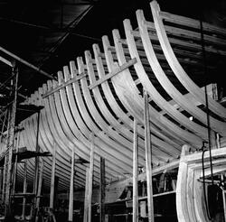 Träminsvepare spant