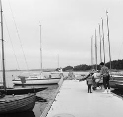 Viggen vid bryggan på Dragsö