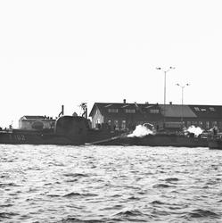 Torpedskott T102 arangemang på torpedtub.