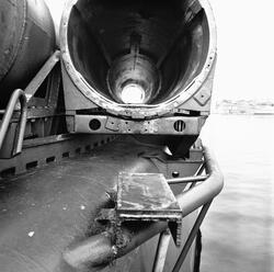 Torpedskott T102 arangemang på torpedtub.