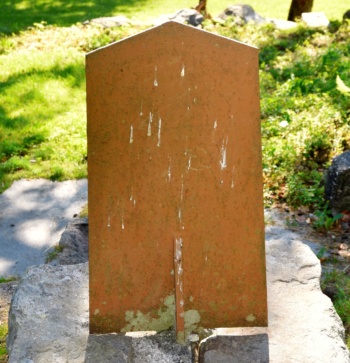 Norges riksvåpen (den norske løve).