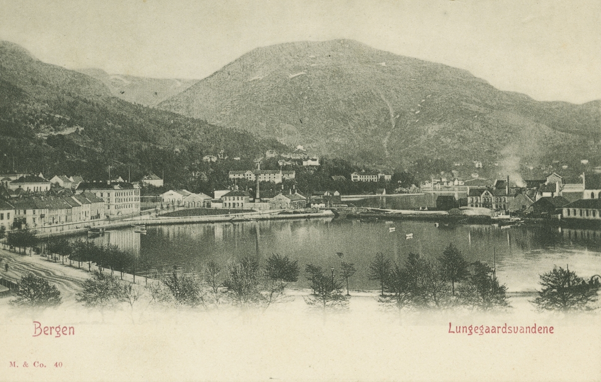 Bergen. Lungegårdsvannene. Utgiver: Mittet & Co.