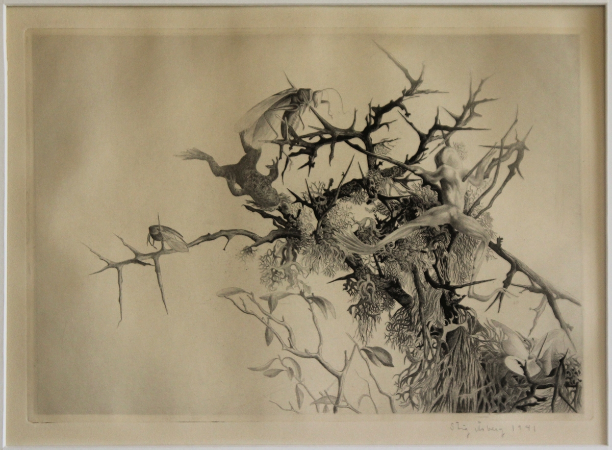 Törnskatans offer [Etsning]