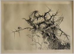 Törnskatans offer [Etsning]