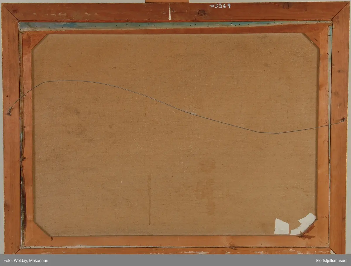 Motiv fra Tønsberg. Slottsfjellet sett fra sjøen. Seilskip og dampskip som ligger ved brygga.