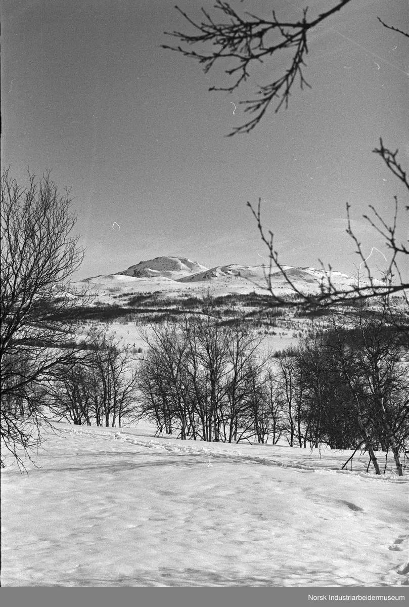 Skispor i vinterlandskapet i Møsvannsområdet.