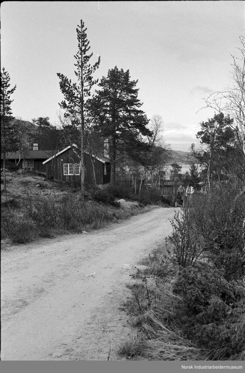 Frøystul Feriested. En vei, en hytte og to personer som går etter veien, den ene triller på en barnevogn.