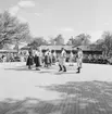 Folkdansare, Skansen.