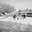 Folkdansare, Skansen.