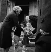 75-årsjubileet. Kung Gustav VI Adolf hälsar på barnen Michael, Marie och Johanna på Skansen.