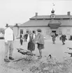 Helstekt gris grillas på gårdsplanen framför Skogaholms herrgård, Skansen.