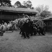 Festlighet vid Laxbrostuga, Skansen. Troligen allmogbröllop.