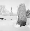 Vinterbilder på gårdar, ute och inne. Runsten, Skansen, Norslundastenen från Uppland.