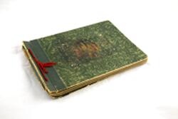 Album. Fotoalbum med mønstret omslag i grønt og grå papirsider inni. Fotografiene er innlimet. Tvinnet rød silkesnor i rygg.