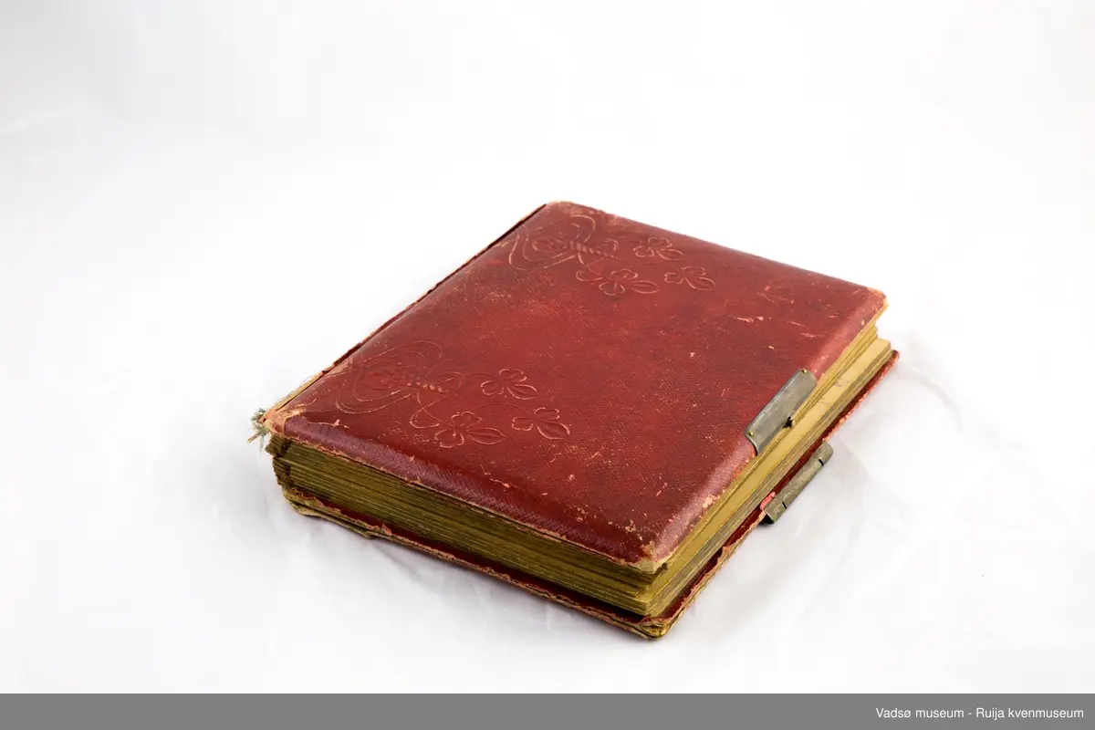 Albumet inneholder familebilder, kabinettkort for det meste. Det er 11 tintype i albumet. 

Om Tintype fotografering:

Tintype kom i 1853. Kvaliteten på bildet var dårlig, men prosessen ble raskt populær blant amatører og kanonfotografere. Dette var en enkel og billig prosess. I stedet for glass ble emulsjonen lagt på en tynn metallplate som ble fortinnet og malt svart. Når negativet lå på en mørk bakgrunn hadde det den effekt at det virket som et positivt bilde. Hos fagfotografen var det gjerne de bemidlede borgerne som lot seg fotografere, men med denne prosessen kunne også arbeideren ha råd til å la seg avbilde. Disse bildene tatt med tintype har i ettertid vært viktige for historikere som har forsket på det lavere sosiale laget av befolkningen.  Tintype prosessen var rask, krevde lite kjemi, og siden metallplaten ikke trakk vann så tørket den med det samme. Bildene kunne klippes til så de passet i medaljonger eller i små papirrammer, og de tålte å bli sendt i posten. Prosessen ble brukt helt frem til 1950 tallet, da den ble overtatt av polaroidfotografiet og 35mm film.