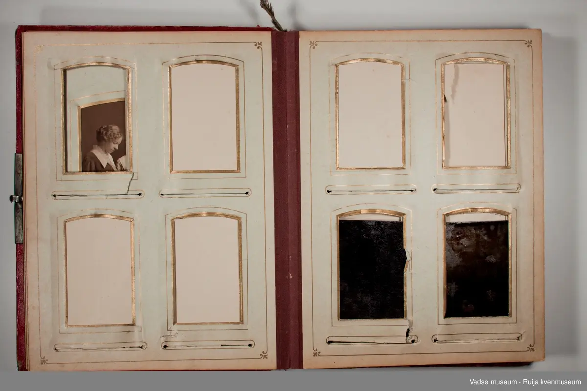 Albumet inneholder familebilder, kabinettkort for det meste. Det er 11 tintype i albumet. 

Om Tintype fotografering:

Tintype kom i 1853. Kvaliteten på bildet var dårlig, men prosessen ble raskt populær blant amatører og kanonfotografere. Dette var en enkel og billig prosess. I stedet for glass ble emulsjonen lagt på en tynn metallplate som ble fortinnet og malt svart. Når negativet lå på en mørk bakgrunn hadde det den effekt at det virket som et positivt bilde. Hos fagfotografen var det gjerne de bemidlede borgerne som lot seg fotografere, men med denne prosessen kunne også arbeideren ha råd til å la seg avbilde. Disse bildene tatt med tintype har i ettertid vært viktige for historikere som har forsket på det lavere sosiale laget av befolkningen.  Tintype prosessen var rask, krevde lite kjemi, og siden metallplaten ikke trakk vann så tørket den med det samme. Bildene kunne klippes til så de passet i medaljonger eller i små papirrammer, og de tålte å bli sendt i posten. Prosessen ble brukt helt frem til 1950 tallet, da den ble overtatt av polaroidfotografiet og 35mm film.