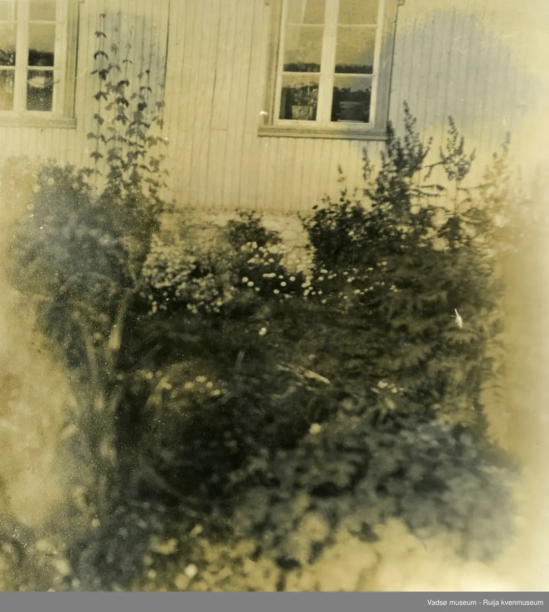 Blomster foran trehus.