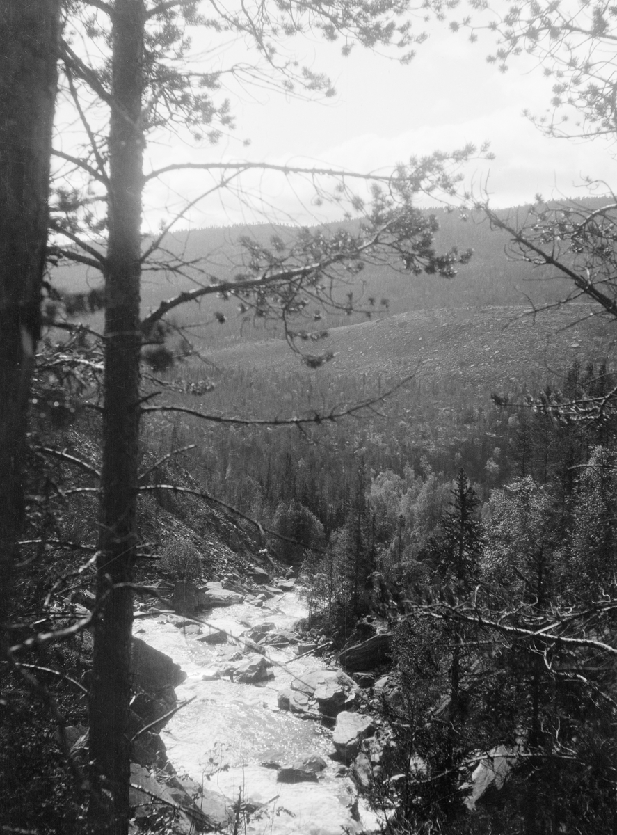 Fra Tyslafallet i Øvre Rendalen.  Fotografiet er tatt i medstrøms retning og viser et noe steinete elveløp som renner gjennom et dalføre som akkurat her har et visst fall.  Vegetasjonen i dalføret domineres av gran- og furuskog. 