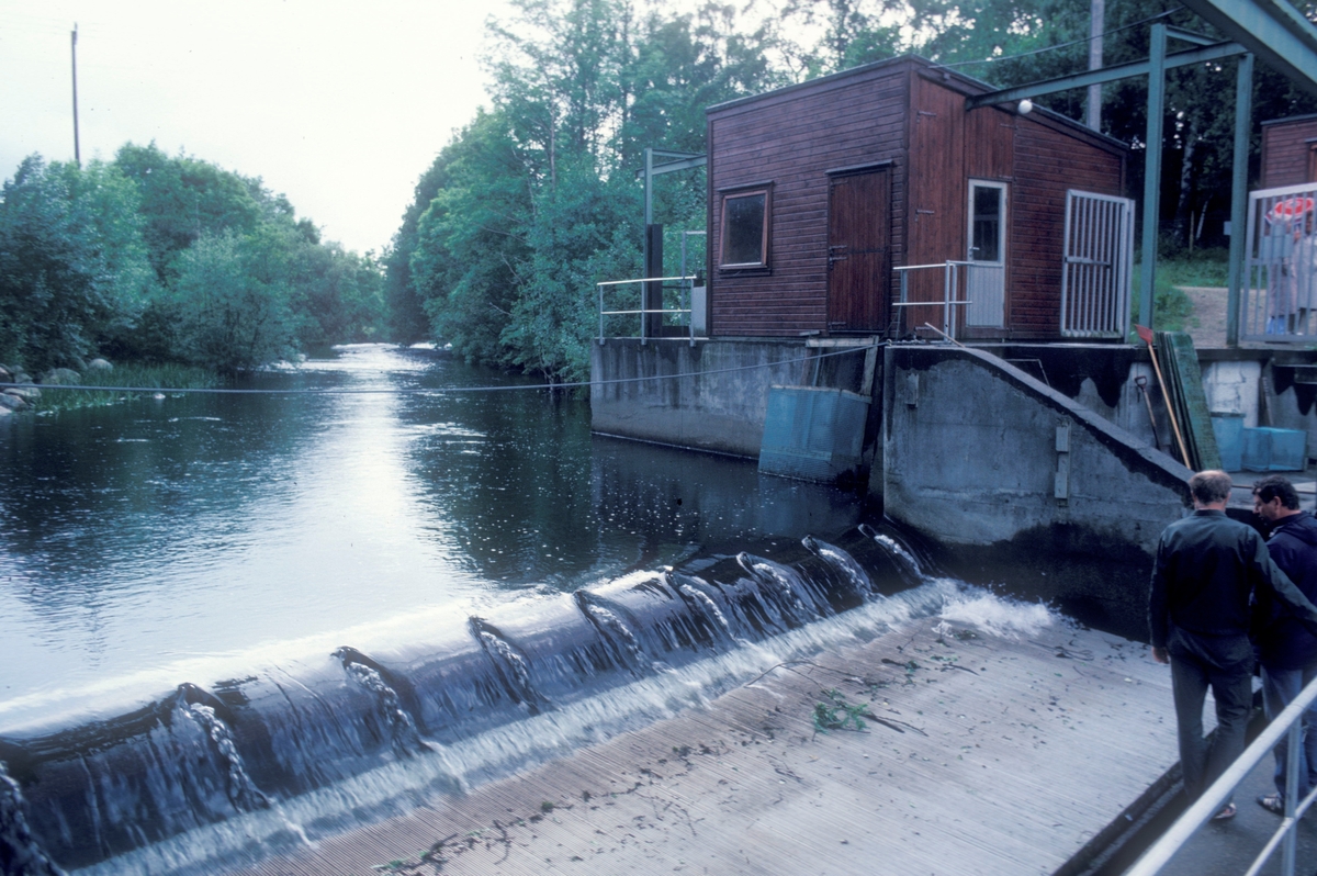Ims, 1983 : Demningen i elva Imsa. Den tilhører forskningstasjonen på Ims, som ligger bare noen hundre meter unna.
