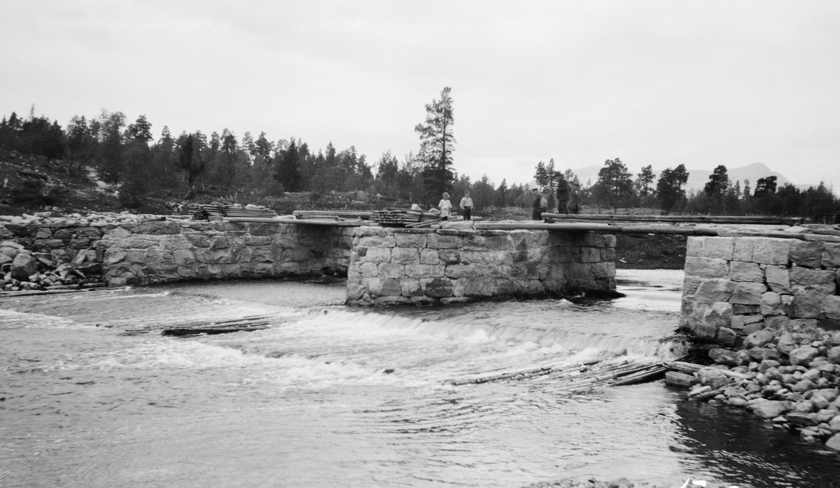 Misterdammen i Ytre Rendalen, fotografert etter et dambrudd i 1917.  Denne dammen hadde på opptakstidspunktet to løp, som antakelig ble stengt med "nåler" når dammen var i bruk.  Både den ytre delen av damarmene og midtkaret er kistemurkonstruksjoner med tuktet og til dels fuget stein i ytterskallet.  Til tross for at konstruksjonen virker tung og solid har vannet brutt gjennom muren på ett punkt, antakelig på østsida av vassdraget (ved dette fotografiets høyre ytterkant) i 1917.  Her ble en god del av fyllmassene skylt vekk med strømmen.  Dette fotografiet er antakeligt tatt i forbindelse med gjenoppbygging av konstruksjonen (sjøl om underteksten i album GF 29 egentlig tyder på samme opptaksdato som SJF. 1990-01570 - SJF. 1990-01572, som viser skader som langt på veg virker utbedret på dette bildet).  Dammen har bruer av tømmer.  På midtkaret og det ene sidekaret ligger en del trematerialer, muligens nåler til å stenge damløpene med.  På midtkaret skimtes flere mennesker, et par barn og fire-fem voksne.  I damløpene er det "golvinger av tømmer, tilsynelatende i to lengder.  I det nedre "golvflaket" later det til at enkelte stokker har løsnet og flytt noe opp.  Bakenfor dammen skimtes en morenerygg med furuskog, og bakenfor den igjen, til høyre i bildet, skimtes et betydelig fjellmassiv. 

Etter dambruddet utarbeidet fløtingsinspektør Odd Daae to alternativer til nye damkomstruksjoner.  Styret i for fløtinga i søndre Mistra valgte det alternativet der det var foreskrevet sviller (tre) i fundamenteringa fordi sementprisen var så høy at et støpt fundament ville ha blitt for kostbart for tverrelvforeningen.  