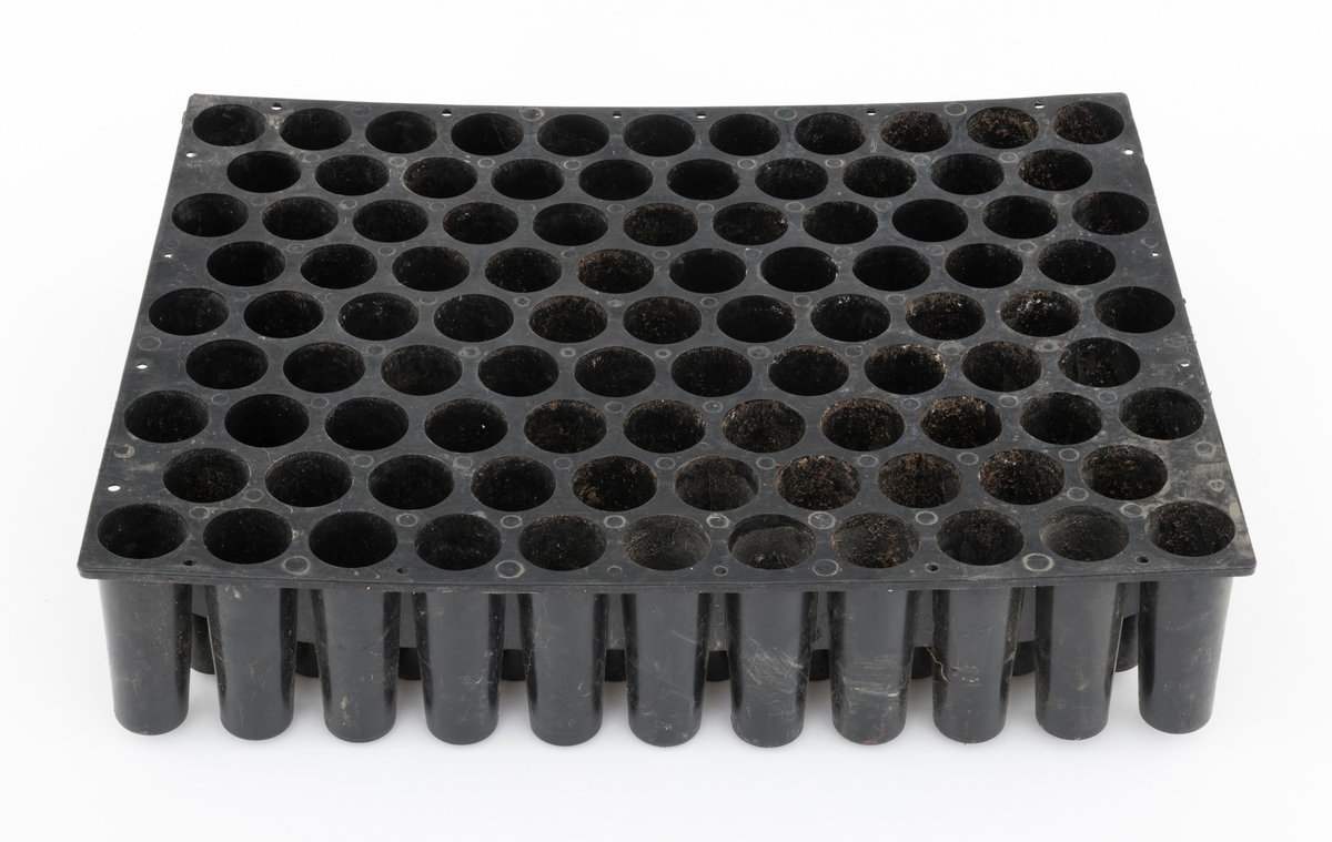 Svart plastkassett (polyetylen) med hylser for produksjon av såkalte pottebrettplanter eller pluggrotplanter. Pottebrettet er rektangulært (40 X 30 centimeter i overkant) og snaut 9 centimeter høyt. På undersida er det 9 rekker med plastpotter, 10 eller 11 enheter i annenhver rekke - til sammen 95 enheter - som er avstivet i forhold til hverandre i lengderetningen, til dels også diagonalt, av plastribber på undersida. Pottemunningene har en diameter på 3 centimeter, men smalner noe mot botnen der det er dreneringshull med 1 centimeters diameter. Disse pottehullene ble fylt med torvsubstrat og deretter tilsådd, vannet og gjødslet i pottebrettene i planteskolene. 

Ved pottebrettproduksjon av skogplanter sparte man den store innsatsen planteskolemedarebeiderne tidligere hadde måttet investere i luking og prikling, og produksjonsforløpet kunne delevis foregå i veksthus, slik at vekstsesongene ble lengre. Dermed også tida det tok fra brettene ble tilsådd til plantene var leveringsklare langt på veg halveres. Alt dette innebar store rasjonaliseringsgevinsteri skogplanteproduksjonen. Dekkrotplanene fra pottebrettene hadde også fortrinn på plantefeltene i skogen: De var mindre sårbare for tørkeskader enn barrotplantene og de var framfor alt langt enklere å plante med hullpipe som arbeidsredskap enn med hakke. Akershus skogselskaps planteskole på Furusmo i Ullensaker la om til pottebrettproduksjon i 1972. Deretter fulgte mange av de andre planteskolene raskt etter, sjøl om ingen gav opp barrotproduksjonen umiddelbart.