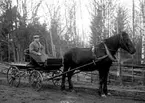 Sigurd Bergman, Rudet, Lyrestad kör en häst anspänd framför en vagn.

Sigurd 1890-1977 var född på Rudet.