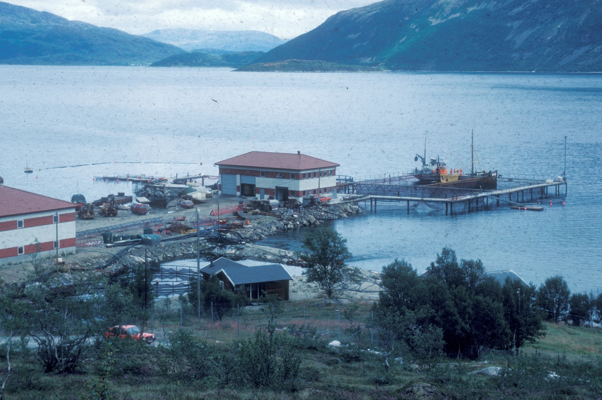 L. Hansen, 1977 : Landbaseen og anlegget til Leonhard Hansen. Bløggebåt ligger til kai.