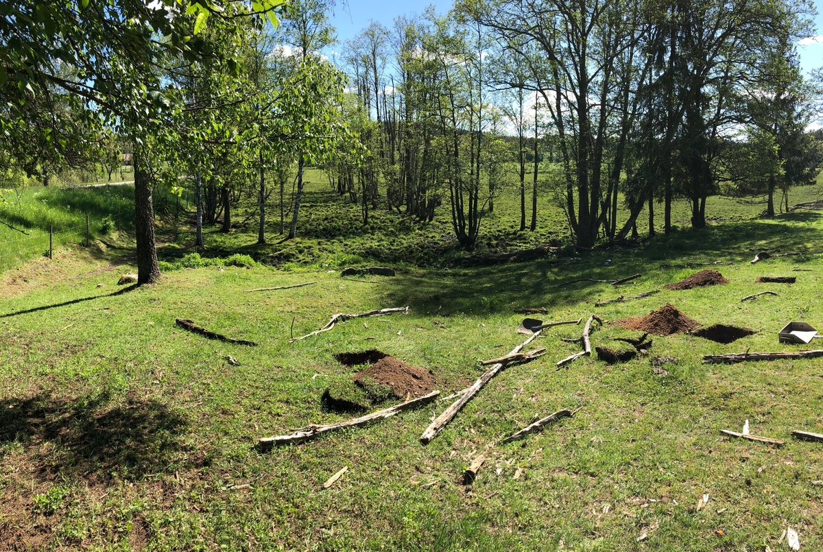 En träddunge framför vilken ett antal arkeologiska provrutor har grävts. Bild tagen vid en arkeologisk utredning i Svenarums socken i Vaggeryds kommun.