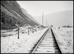 Hans H. Lie - Gudbrandsdalen i utvikling