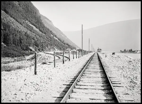 Hans H. Lie - Gudbrandsdalen i utvikling