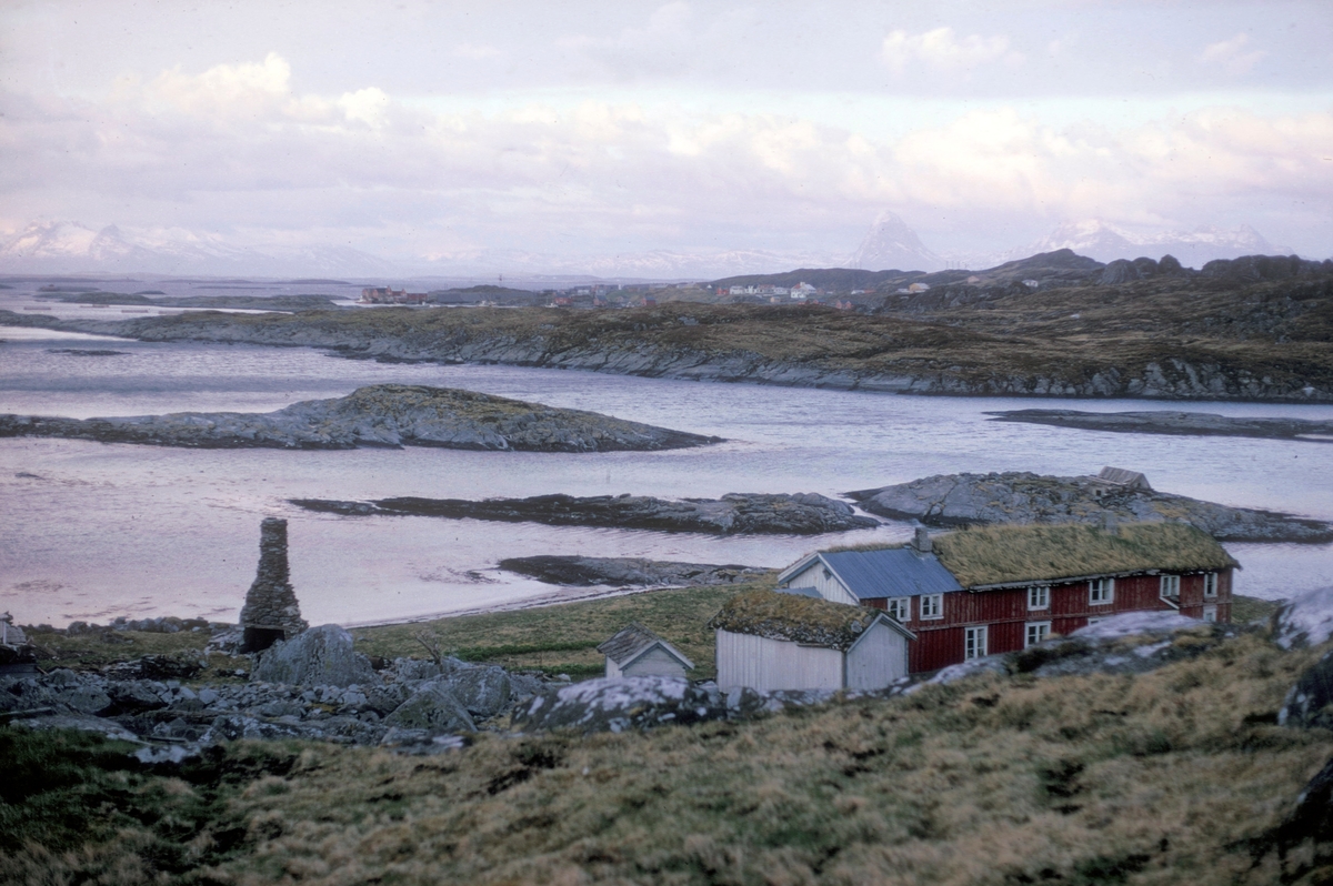 Lurøy, 1972 : Oversiktsbilde av Hans Petter Melands gård. Han var en av oppdrettspionerene på Lovund.