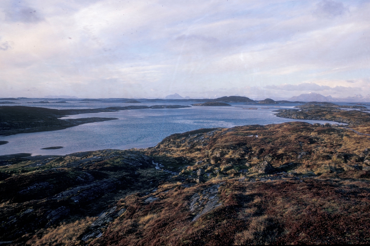 Lovund seminar, 1972 : Oppdrettsanlegget på sjøen tilhørte Steinar Olaisen og Hans Petter Meland. De var oppdrettspionerer på Lovund.