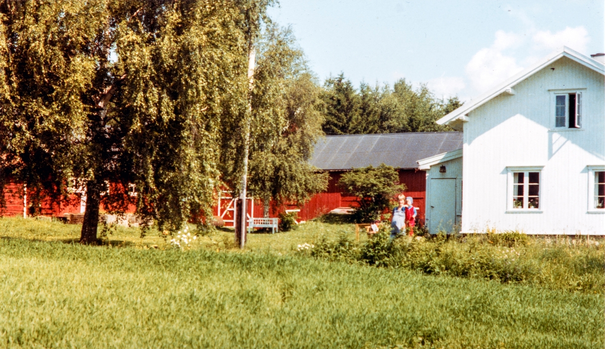 Sande av Vesle Oppsal, Vang. Sommer 1981.