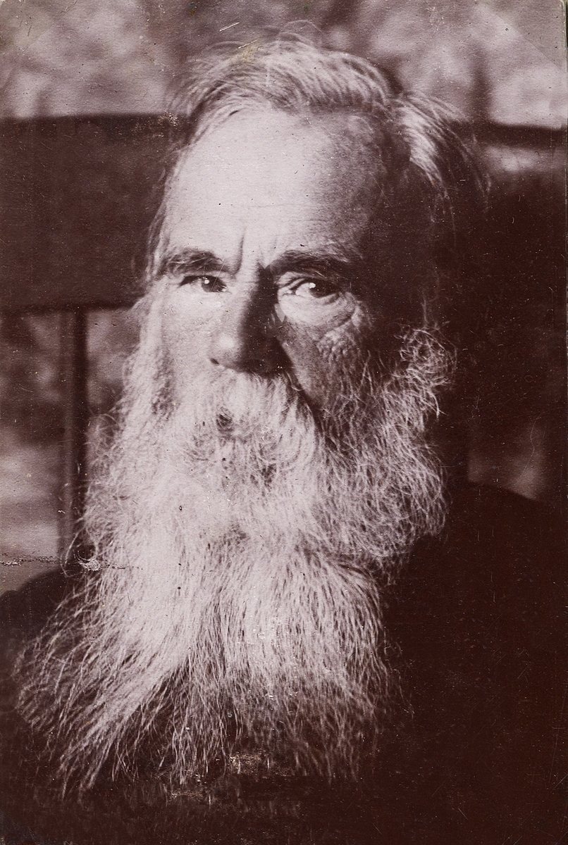 Foto av en äldre man med yvigt skägg.
Bröstbild, halvprofil. Ateljéfoto.