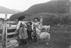 Prot: Paa Sæteren 24/7
Konv: Sætersdalen, paa sæteren