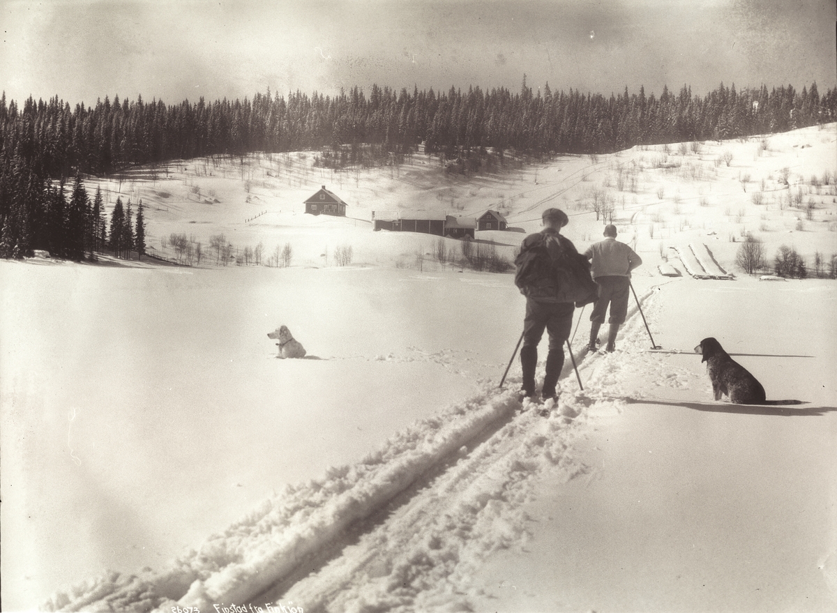 Prot: Skogen - Finstad fra Finkjøn