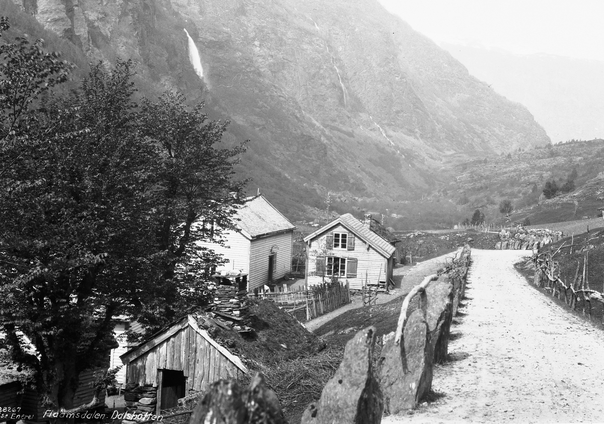 Prot: Flaamsdalen, Dalsbotten