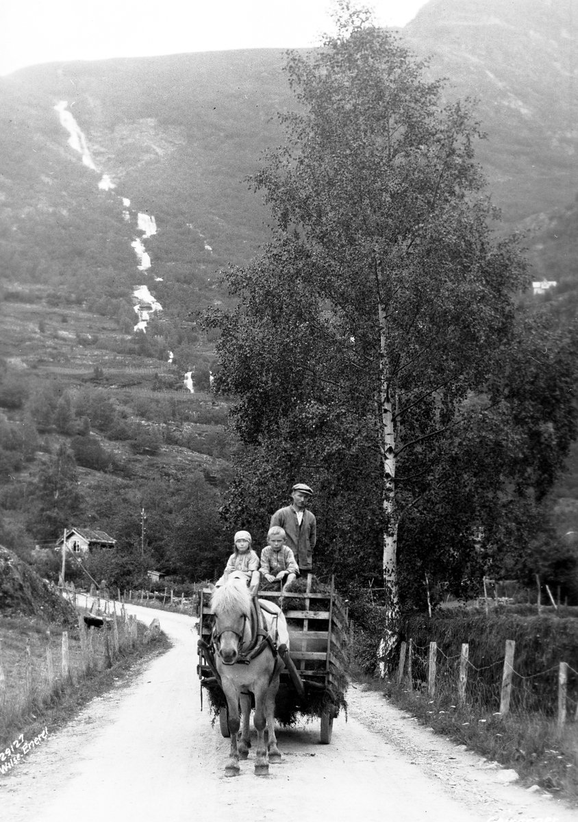 Prot: Indkjørning av høi, Geiranger