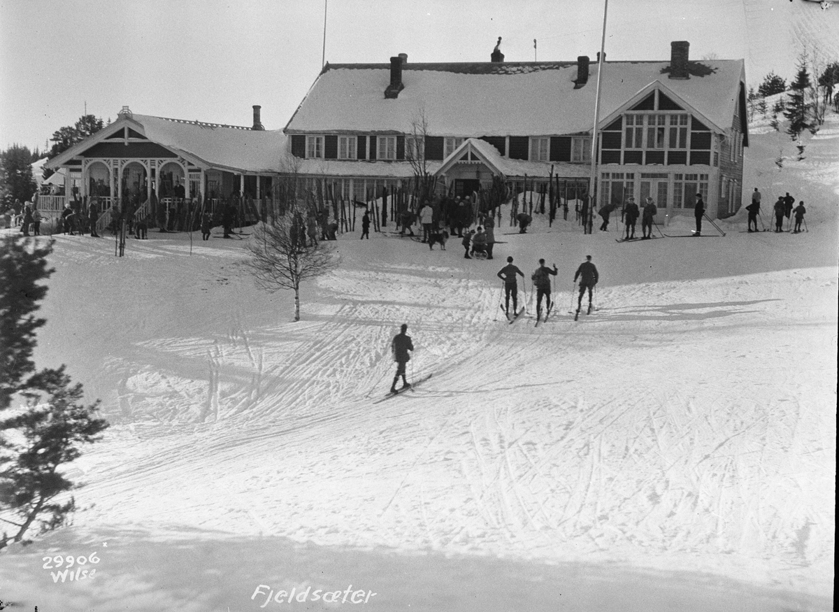 Prot: Trondhjem, Fjeldsæter