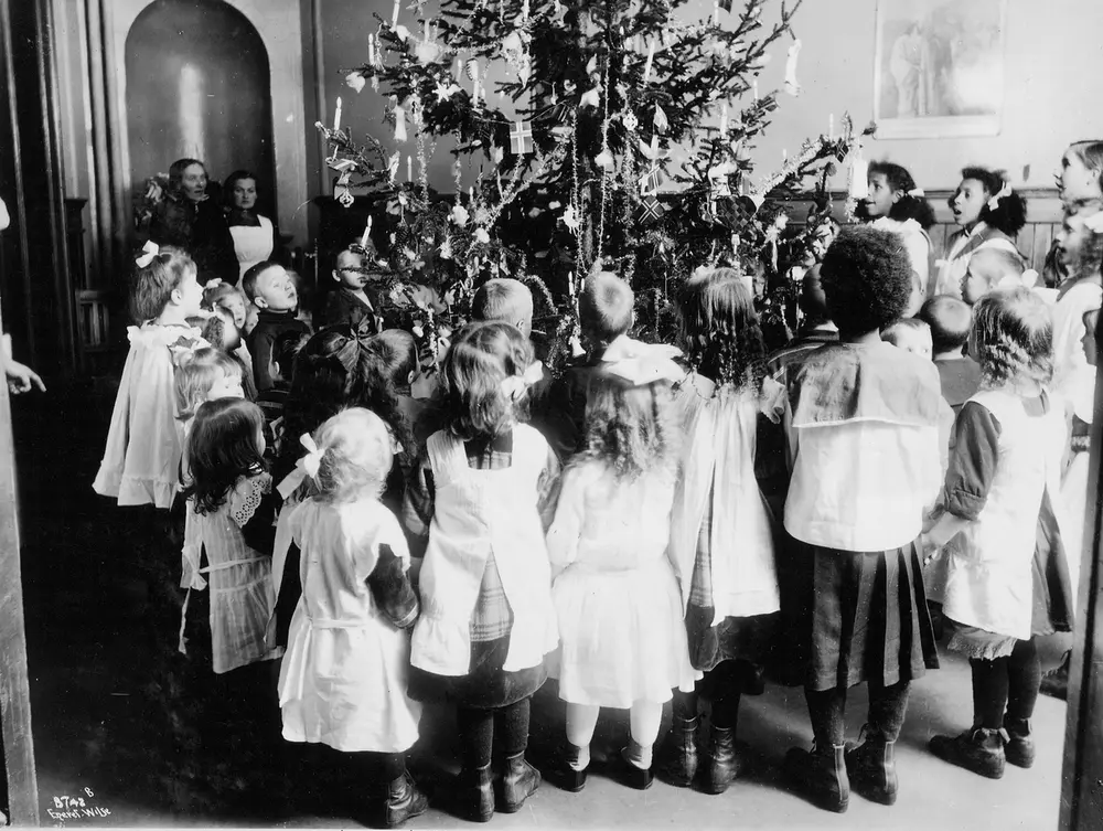 Prot: Genre, Juletræfest