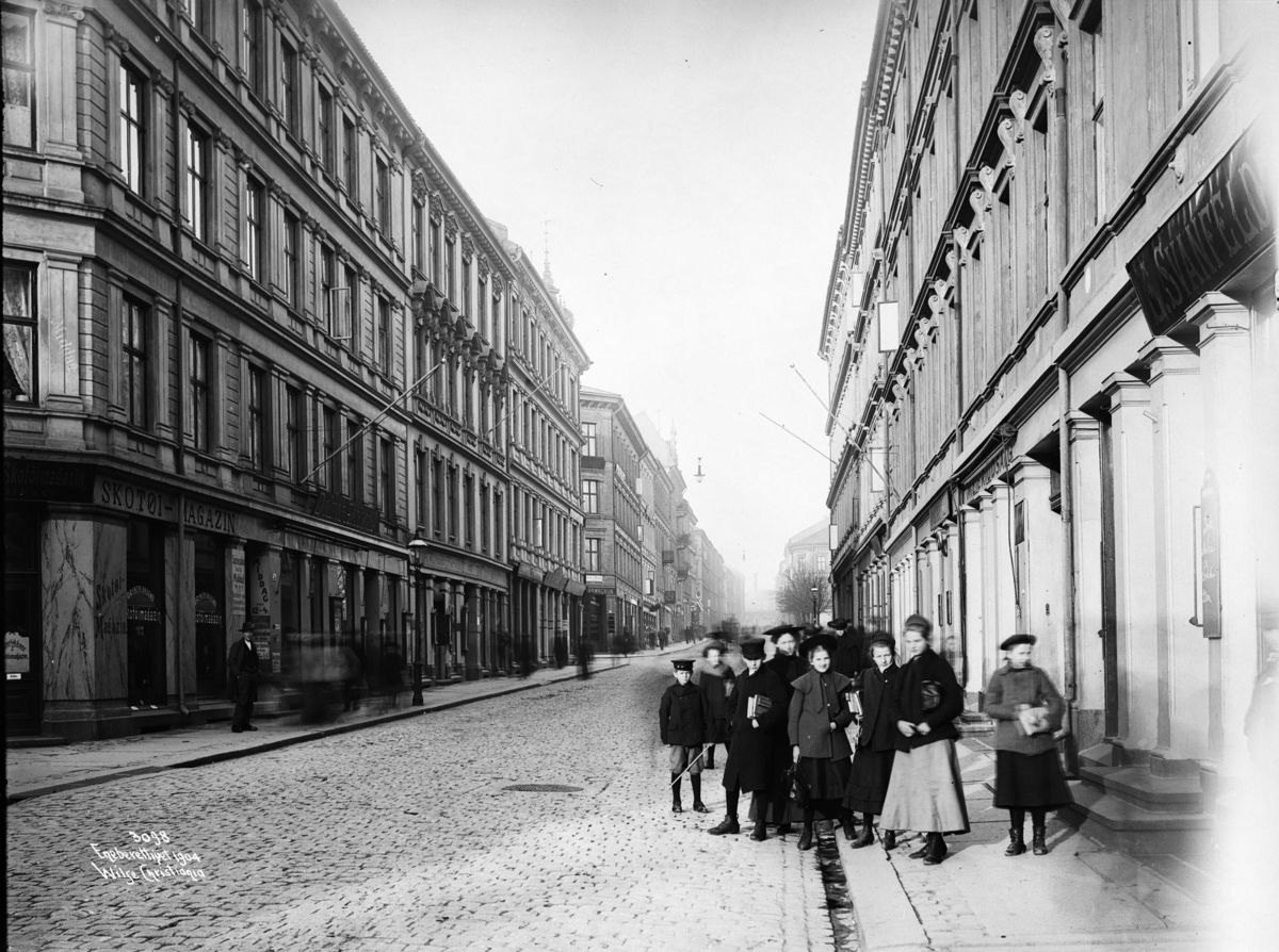 Prot: Konsul Heiberg  Skogparti