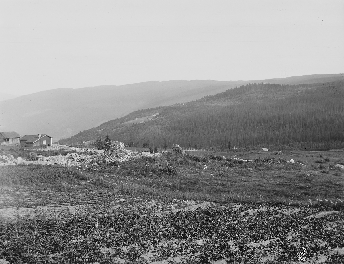 Konv: Wulfsberg pano 2