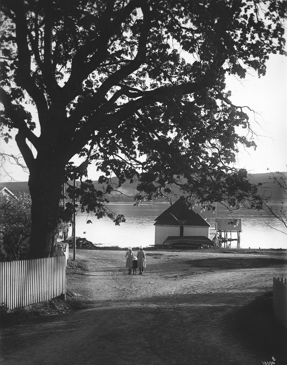 Konv: Fred Olsens villa, Udsigt