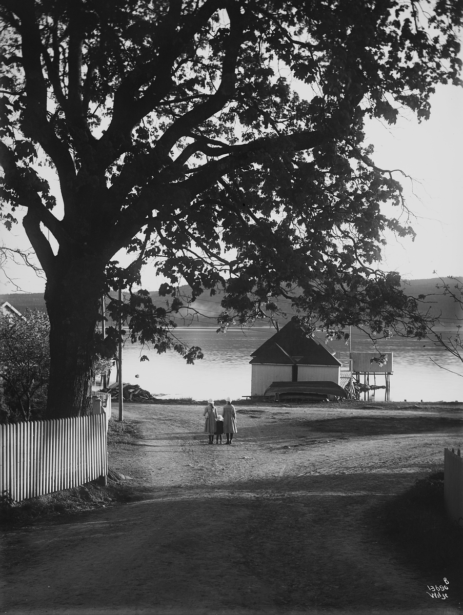 Konv: Fred Olsens villa, Udsigt