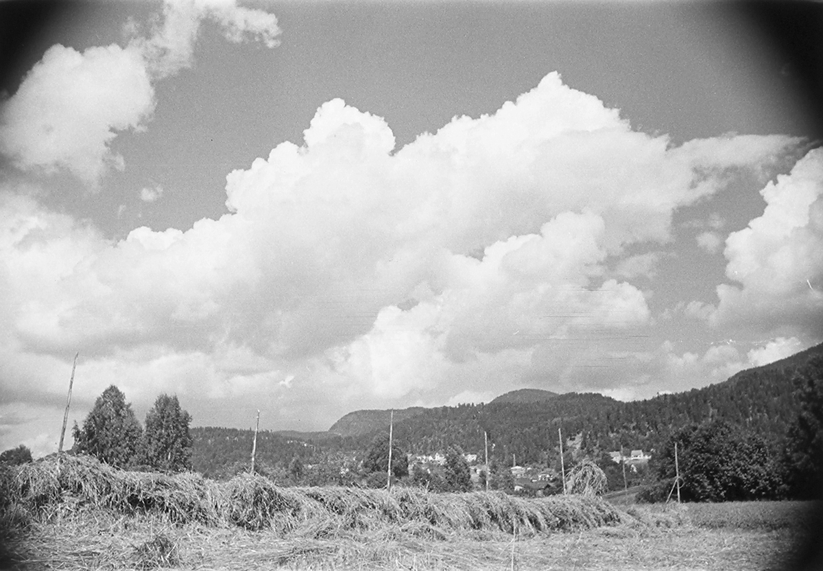 Landskap med hesjer. Antatt Mjøndalen, Drammen. Fotografert 1940.