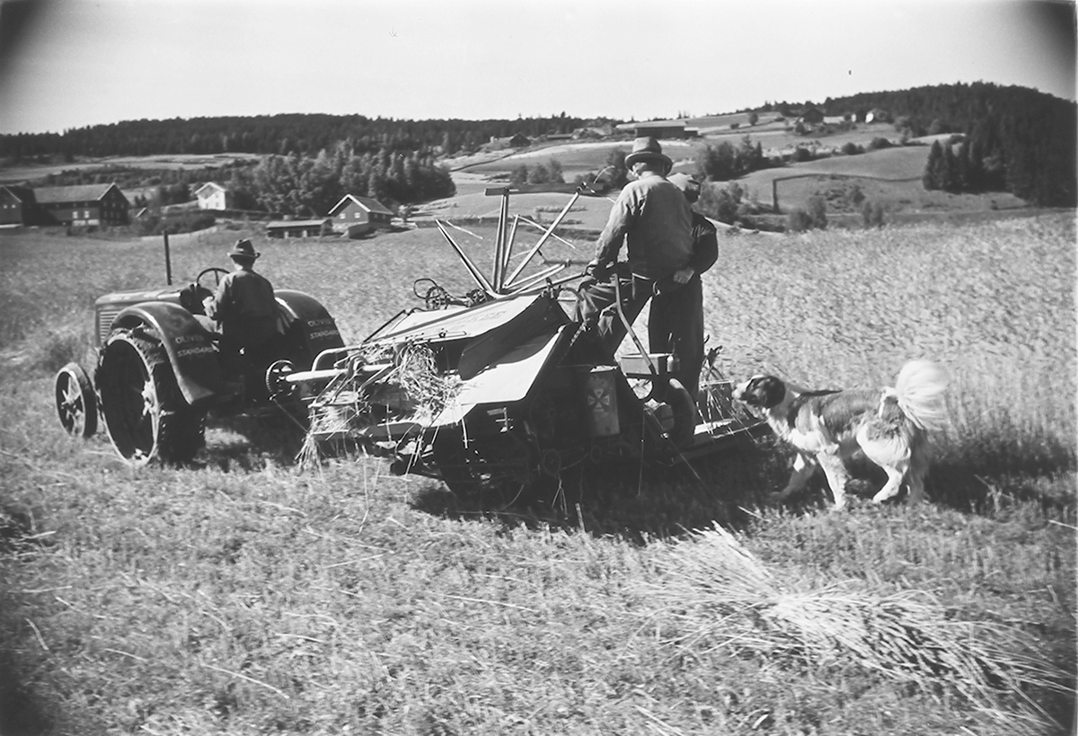 To menn (3) på traktor med slåmaskin (Massey Harris), som slår høy. Høyonn. Antatt Gran, Hadeland, Fotografert 1940.